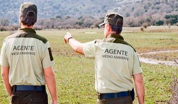 Requisitos para ser agente forestal en España (1)